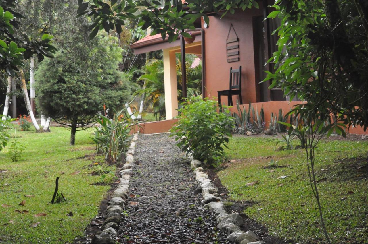 Bed and Breakfast Hospedaje Amanecer Turrialba Exterior foto