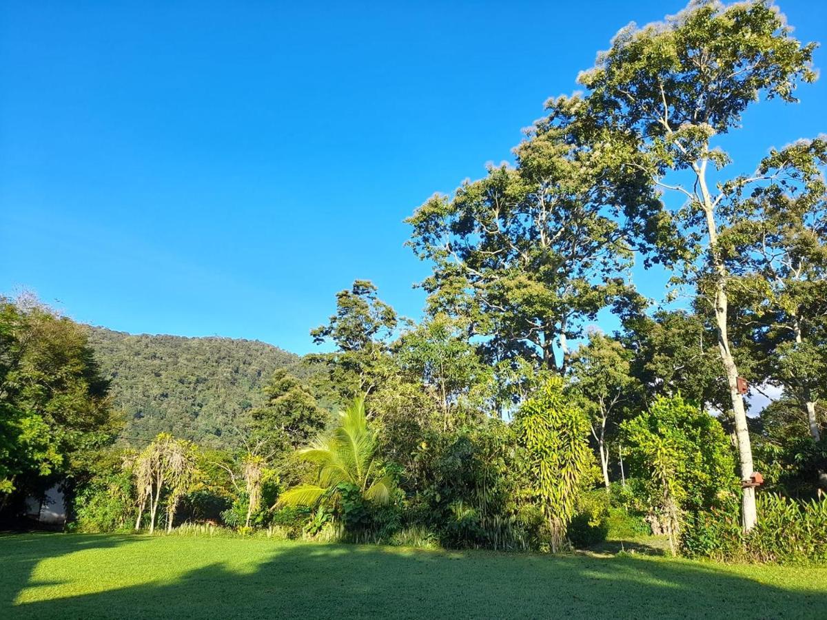 Bed and Breakfast Hospedaje Amanecer Turrialba Exterior foto