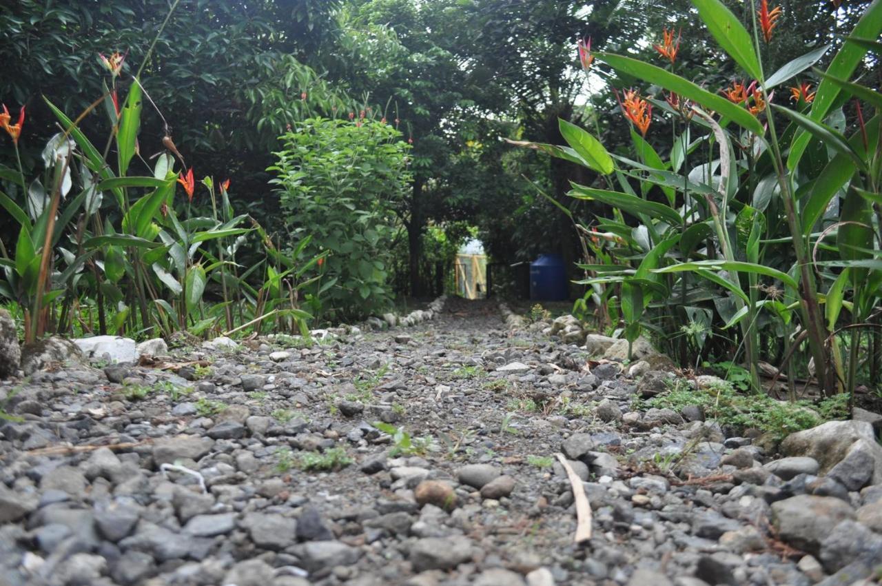 Bed and Breakfast Hospedaje Amanecer Turrialba Exterior foto